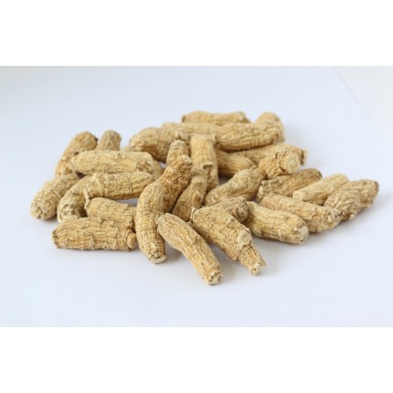 加種泡面,粗4號,20F (每両)